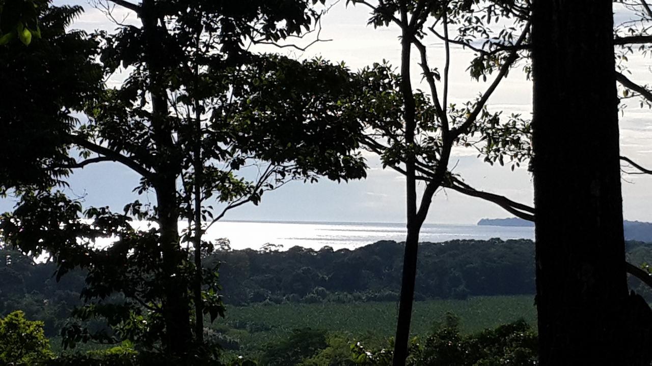 Hotel Casa Conley Del Mar Puerto Viejo de Talamanca Zewnętrze zdjęcie