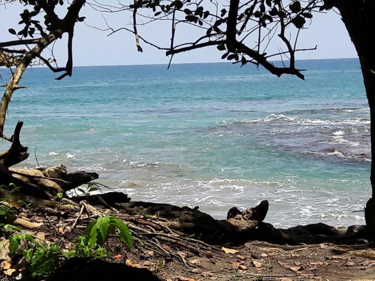 Hotel Casa Conley Del Mar Puerto Viejo de Talamanca Zewnętrze zdjęcie