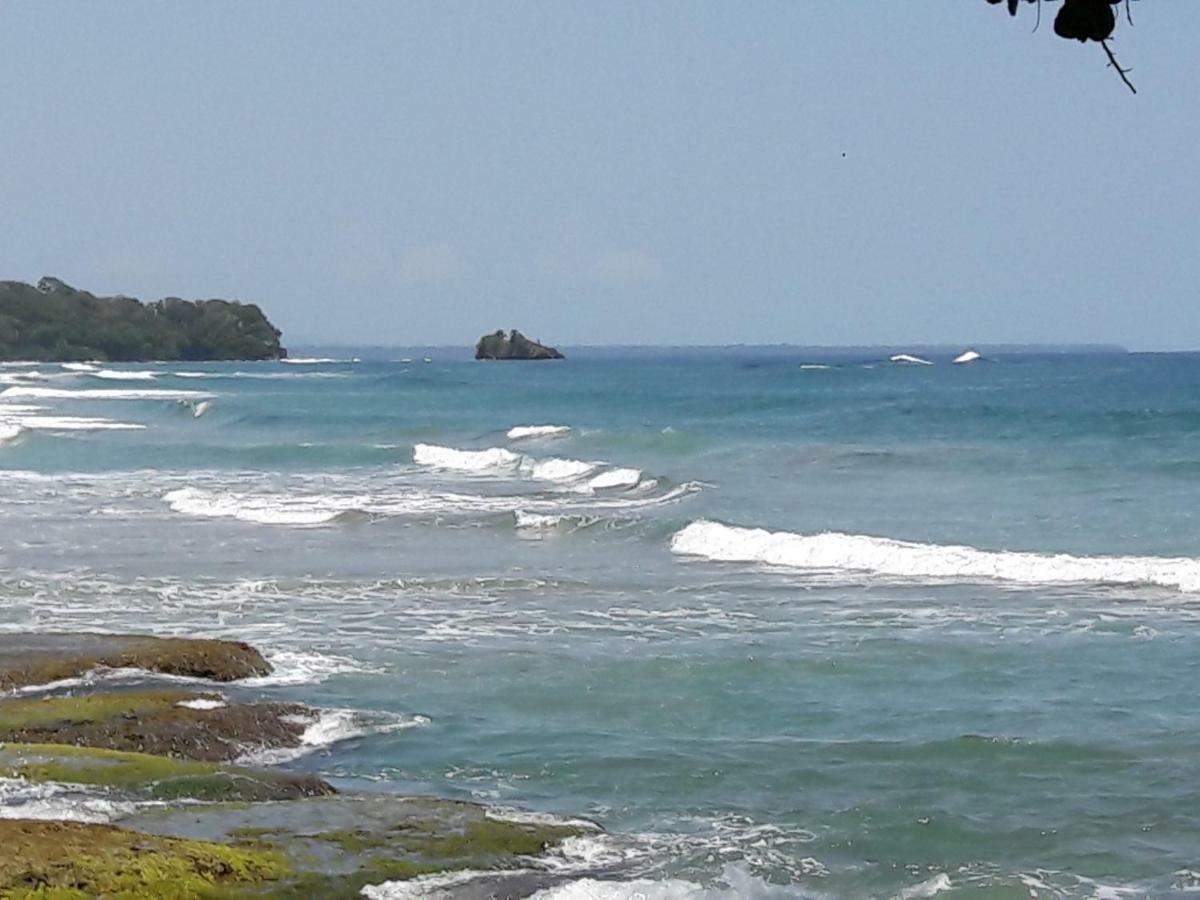 Hotel Casa Conley Del Mar Puerto Viejo de Talamanca Zewnętrze zdjęcie