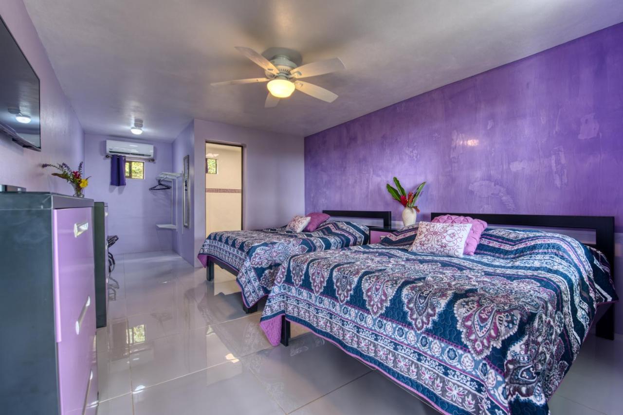 Hotel Casa Conley Del Mar Puerto Viejo de Talamanca Zewnętrze zdjęcie