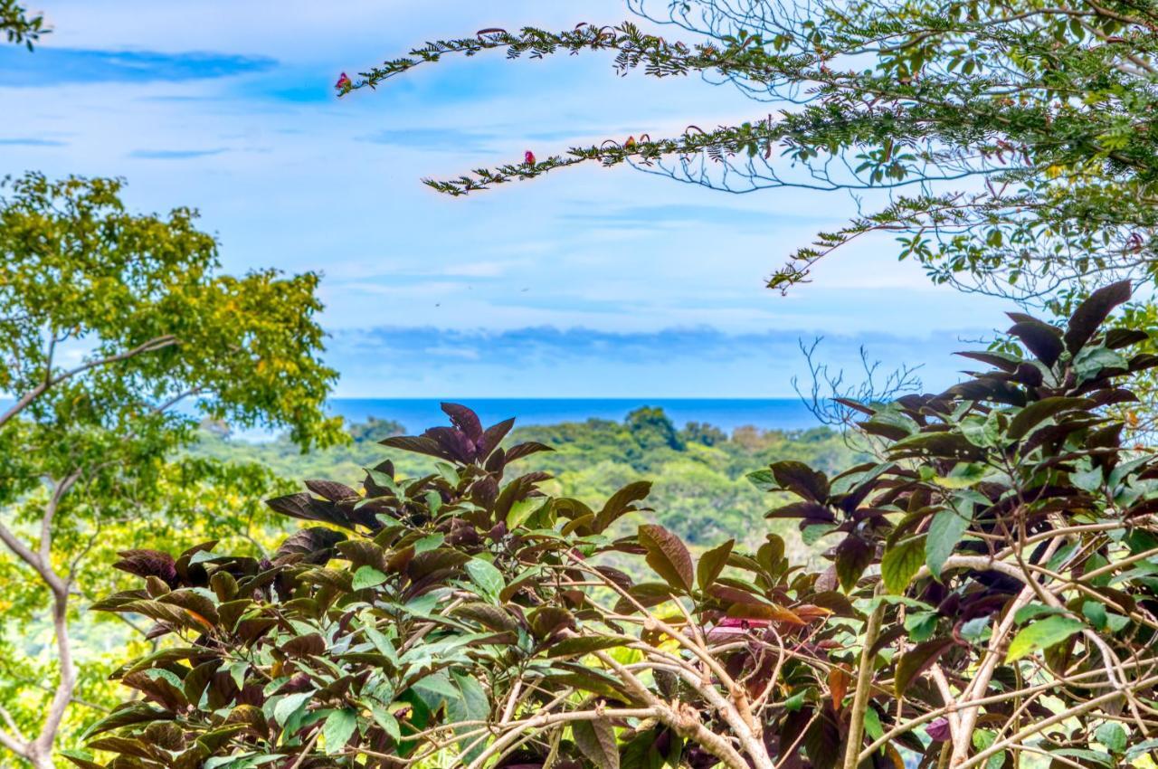 Hotel Casa Conley Del Mar Puerto Viejo de Talamanca Zewnętrze zdjęcie