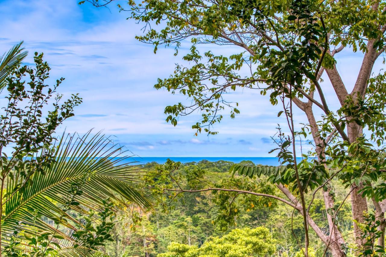 Hotel Casa Conley Del Mar Puerto Viejo de Talamanca Zewnętrze zdjęcie