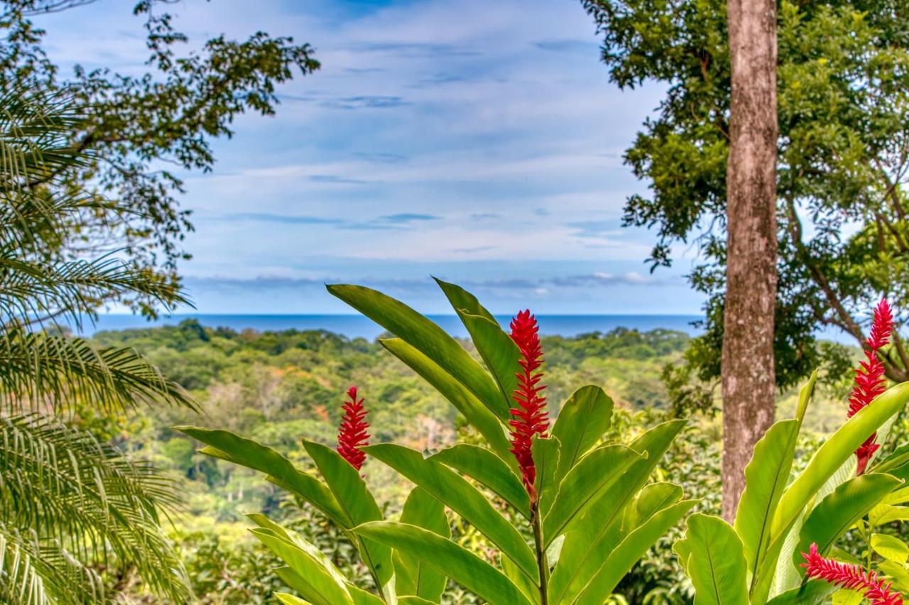 Hotel Casa Conley Del Mar Puerto Viejo de Talamanca Zewnętrze zdjęcie