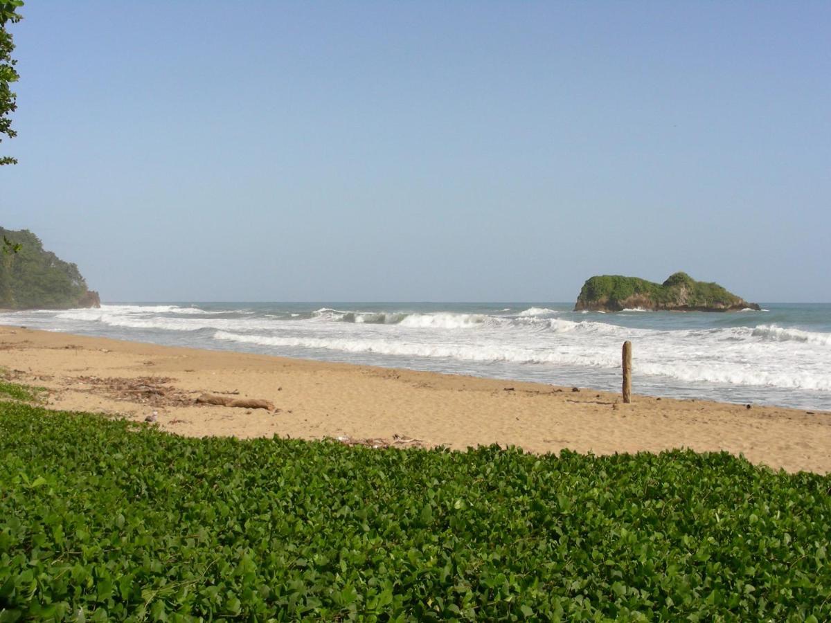 Hotel Casa Conley Del Mar Puerto Viejo de Talamanca Zewnętrze zdjęcie